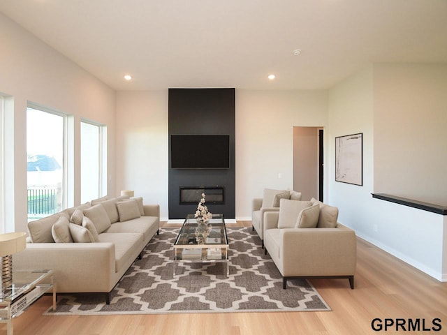 living room featuring a large fireplace and light hardwood / wood-style floors