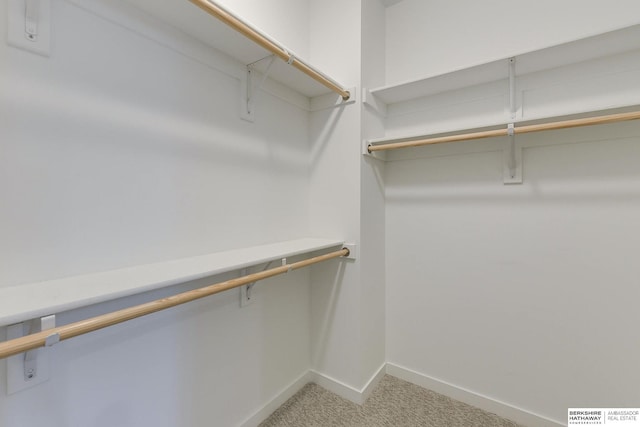 spacious closet featuring light carpet