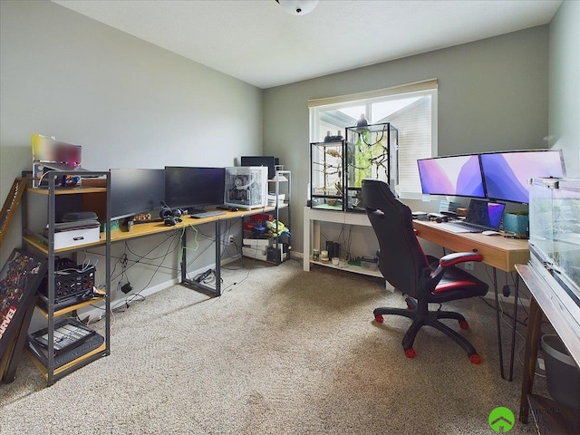 home office featuring carpet flooring