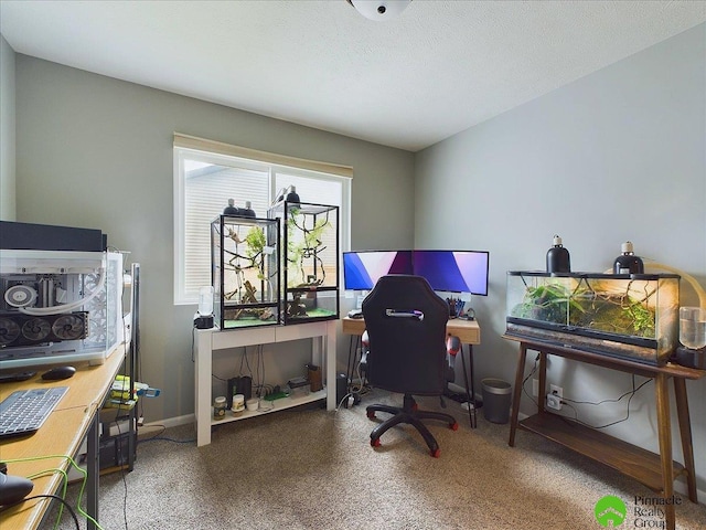 home office featuring baseboards, speckled floor, and a textured ceiling