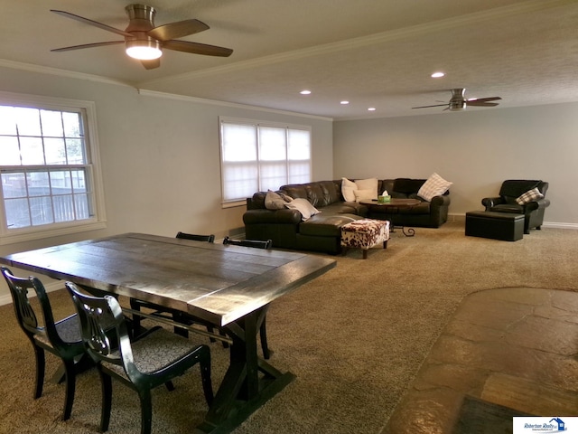 carpeted dining area with ceiling fan, a healthy amount of sunlight, and ornamental molding