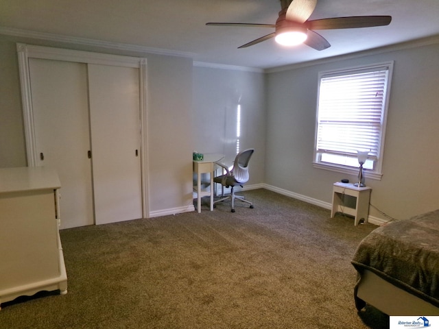 bedroom with ceiling fan, a closet, carpet, and ornamental molding