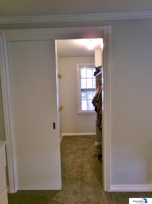 hall featuring carpet flooring and crown molding