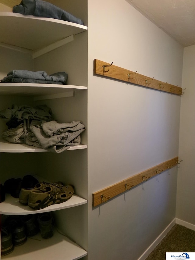 view of closet