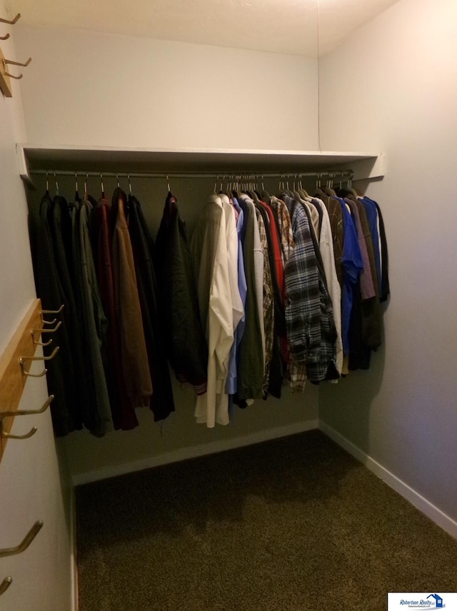 spacious closet with carpet