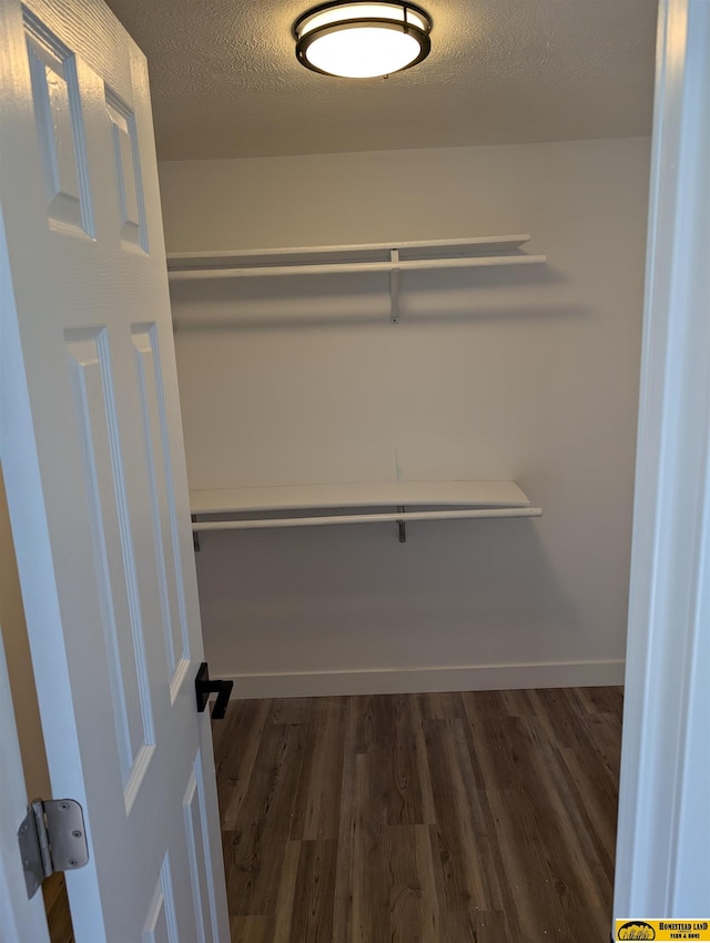 walk in closet featuring dark wood-type flooring