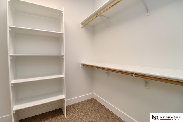 walk in closet with carpet floors