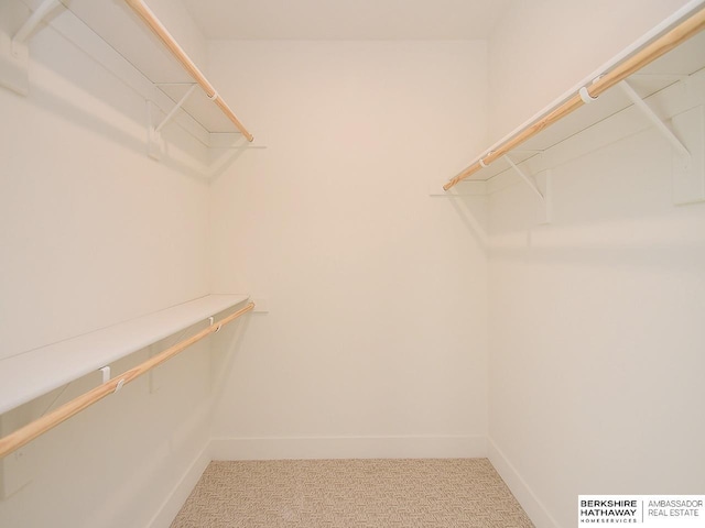 walk in closet featuring carpet flooring