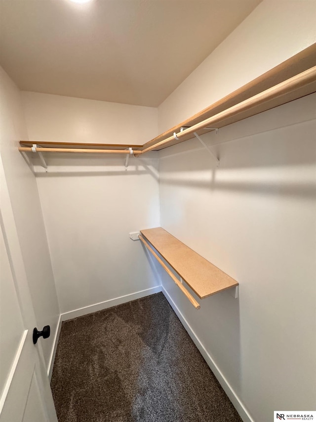 walk in closet with carpet floors