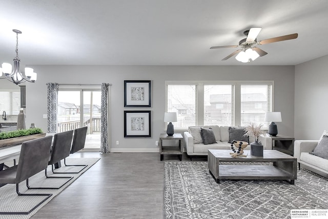 living room with ceiling fan with notable chandelier and dark hardwood / wood-style flooring