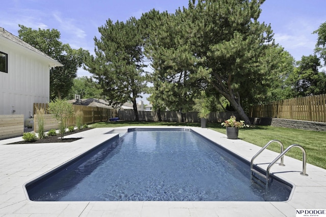 view of swimming pool with a yard and a patio