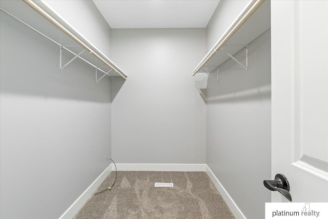 spacious closet featuring carpet