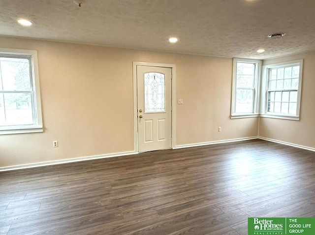 entryway with a textured ceiling, dark hardwood / wood-style flooring, and plenty of natural light