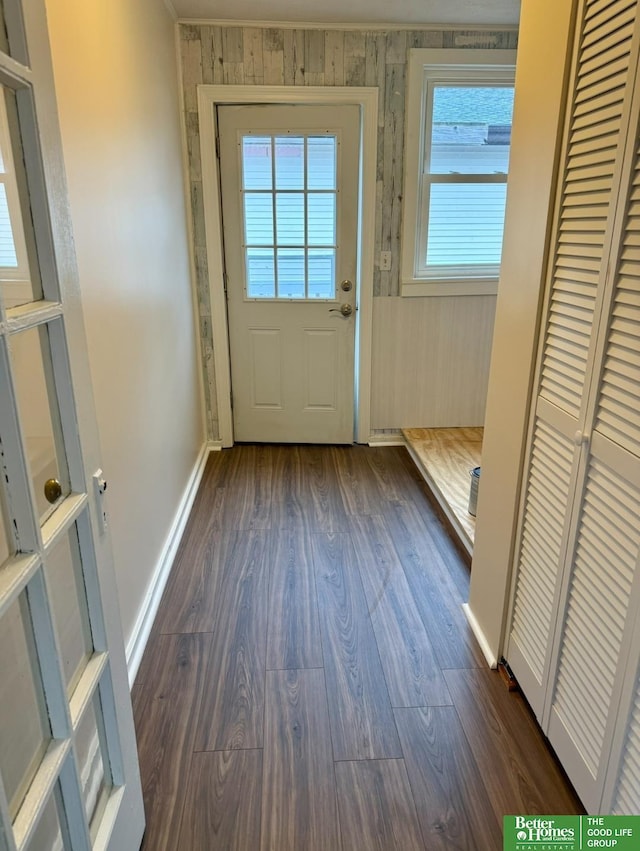 doorway to outside with dark hardwood / wood-style flooring