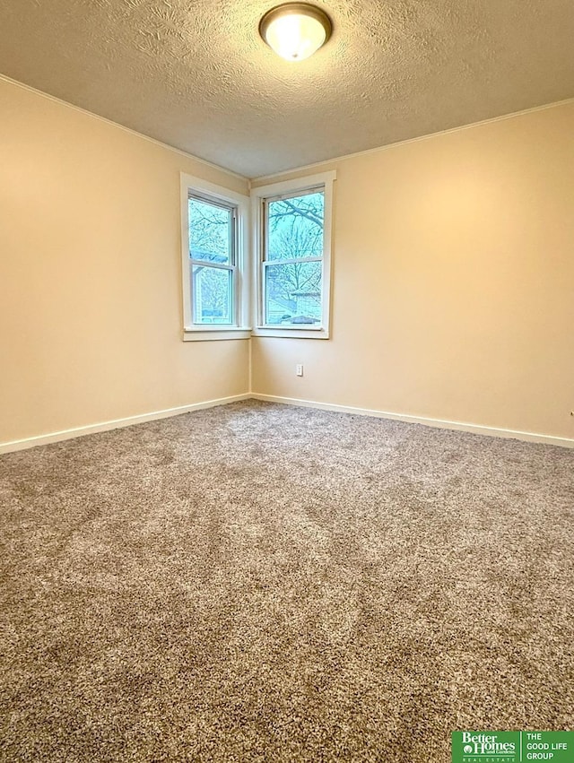 empty room featuring carpet flooring and a textured ceiling