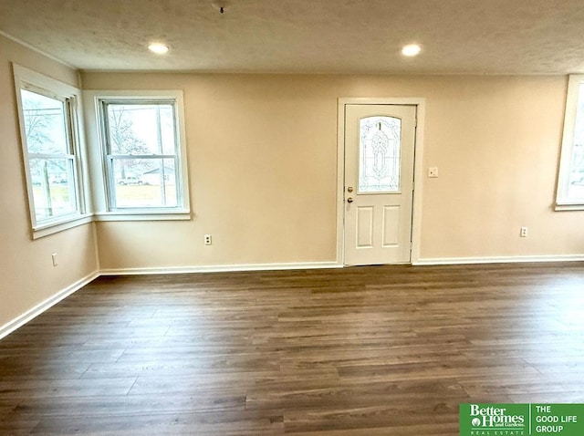 entryway with dark hardwood / wood-style flooring