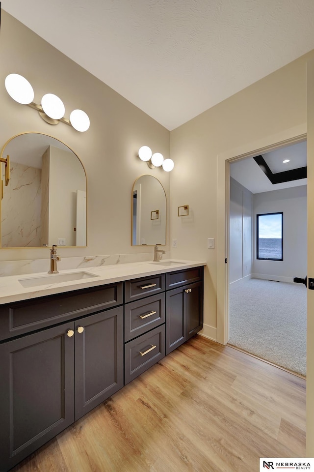 bathroom with hardwood / wood-style floors and vanity