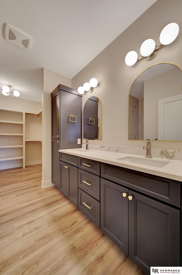 bathroom with hardwood / wood-style floors and vanity