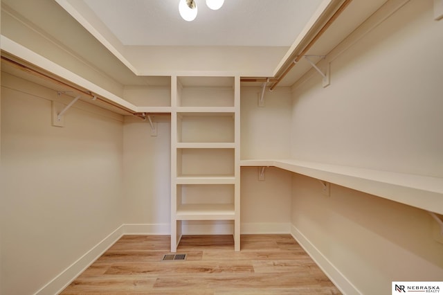 spacious closet with wood-type flooring