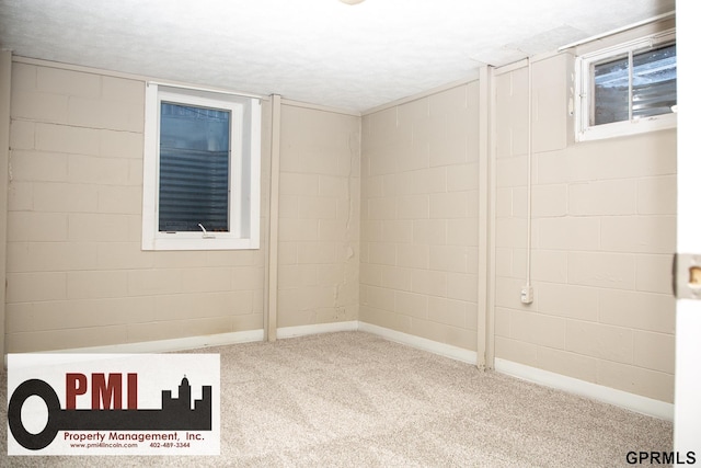 basement with light colored carpet