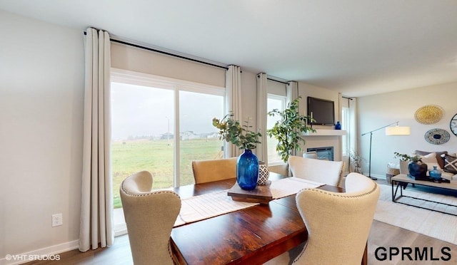 dining space featuring light hardwood / wood-style flooring