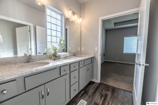 bathroom with hardwood / wood-style floors and vanity