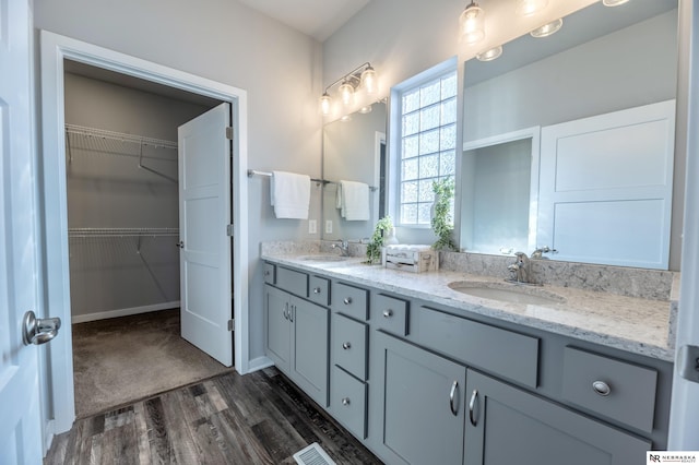 bathroom with wood-type flooring and vanity