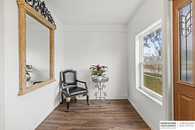 living area featuring dark hardwood / wood-style flooring