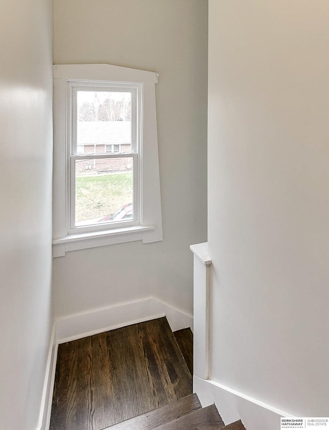 stairway featuring hardwood / wood-style flooring