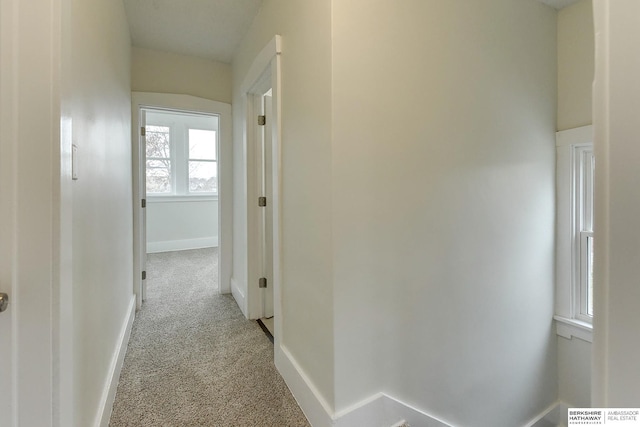 corridor with light colored carpet