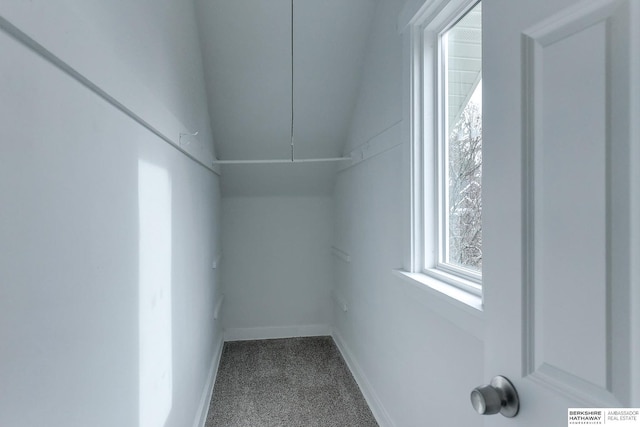 spacious closet featuring carpet flooring and lofted ceiling