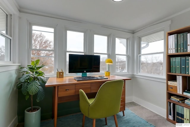 carpeted home office with ornamental molding