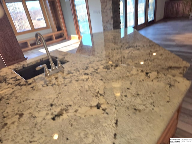 details with wood-type flooring, light stone countertops, and sink