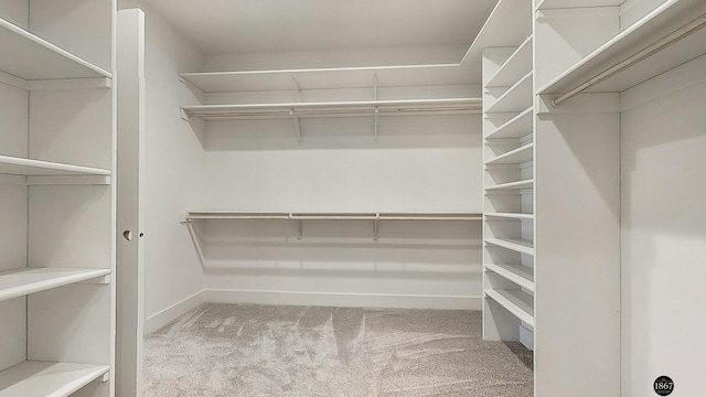 walk in closet with light colored carpet