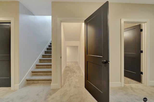 staircase with carpet flooring