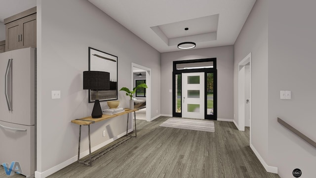 entrance foyer featuring a raised ceiling and hardwood / wood-style flooring