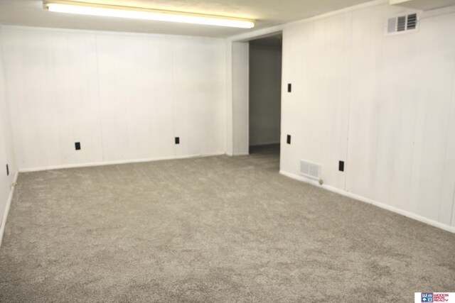 basement featuring carpet flooring