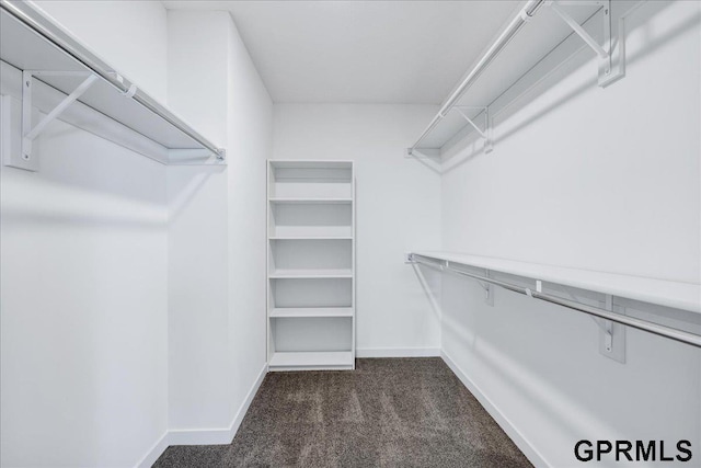 spacious closet with dark colored carpet