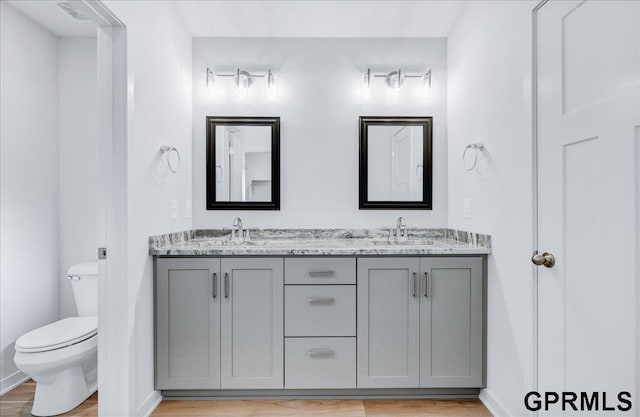 bathroom with vanity, toilet, and wood-type flooring