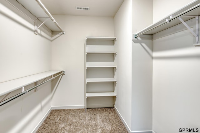 walk in closet with light carpet