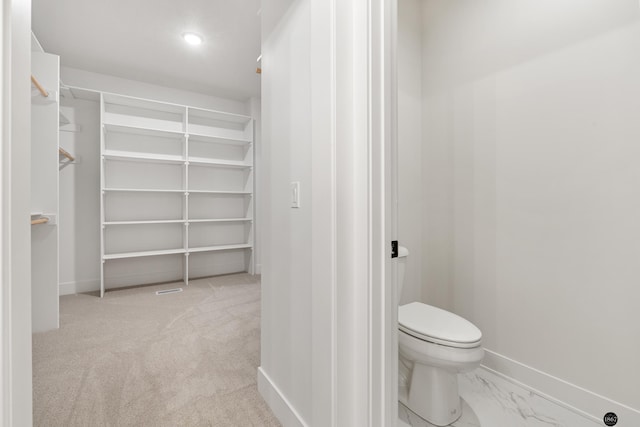 spacious closet featuring light colored carpet