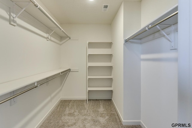 spacious closet with light carpet