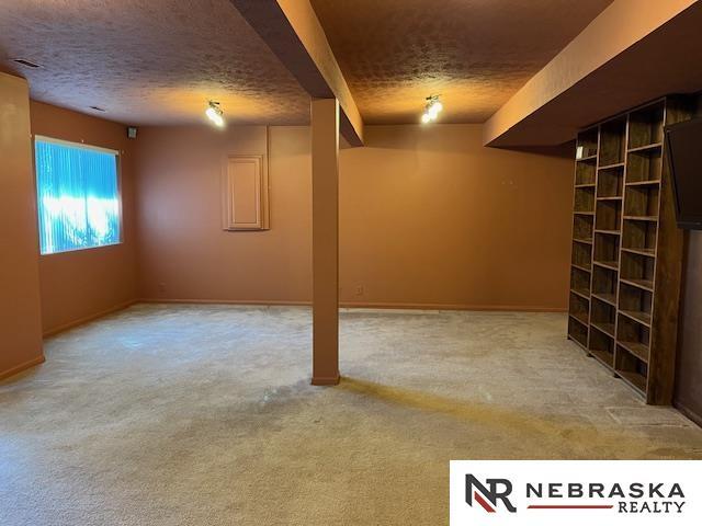 basement with light colored carpet