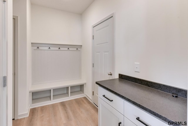 mudroom with light wood-type flooring