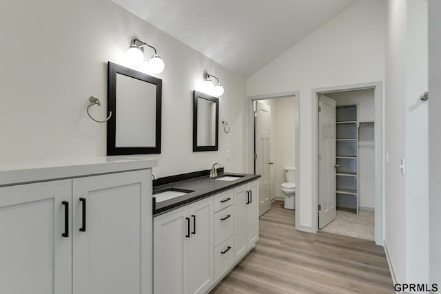 bathroom featuring vanity, toilet, wood-type flooring, and vaulted ceiling