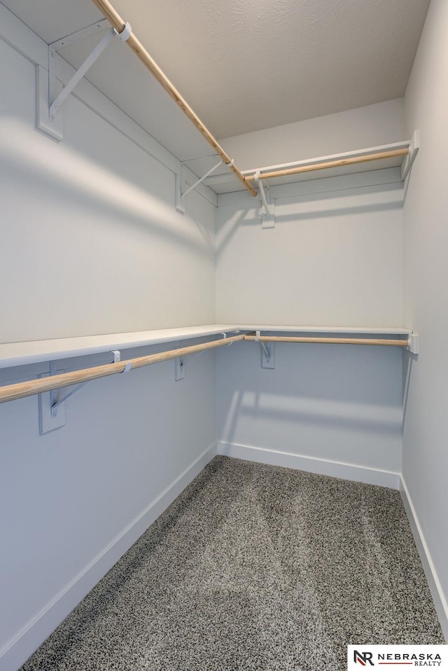 spacious closet featuring carpet floors