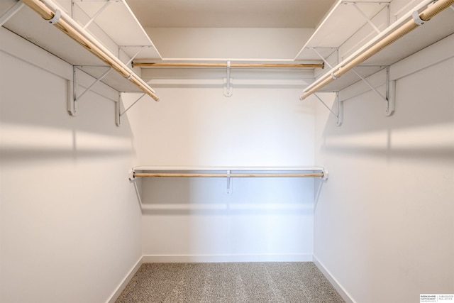 spacious closet with carpet