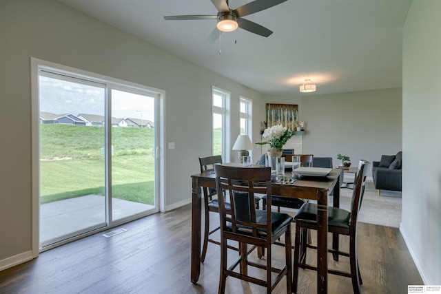 dining area with ceiling fan and dark hardwood / wood-style flooring