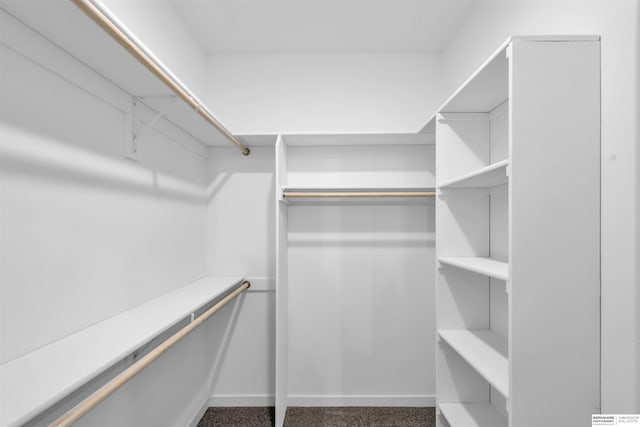 spacious closet with carpet