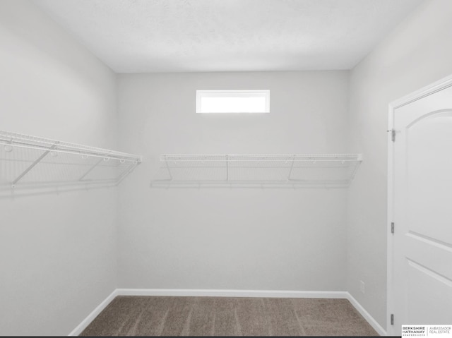 spacious closet with carpet